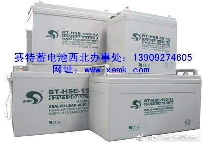 中標：陜西某金融行業中心機房UPS電源蓄電池項目：