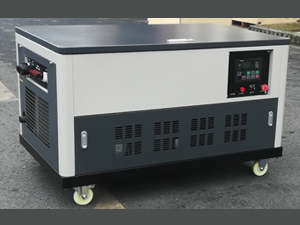 MIKETE麥克特動力30KW汽油發電機